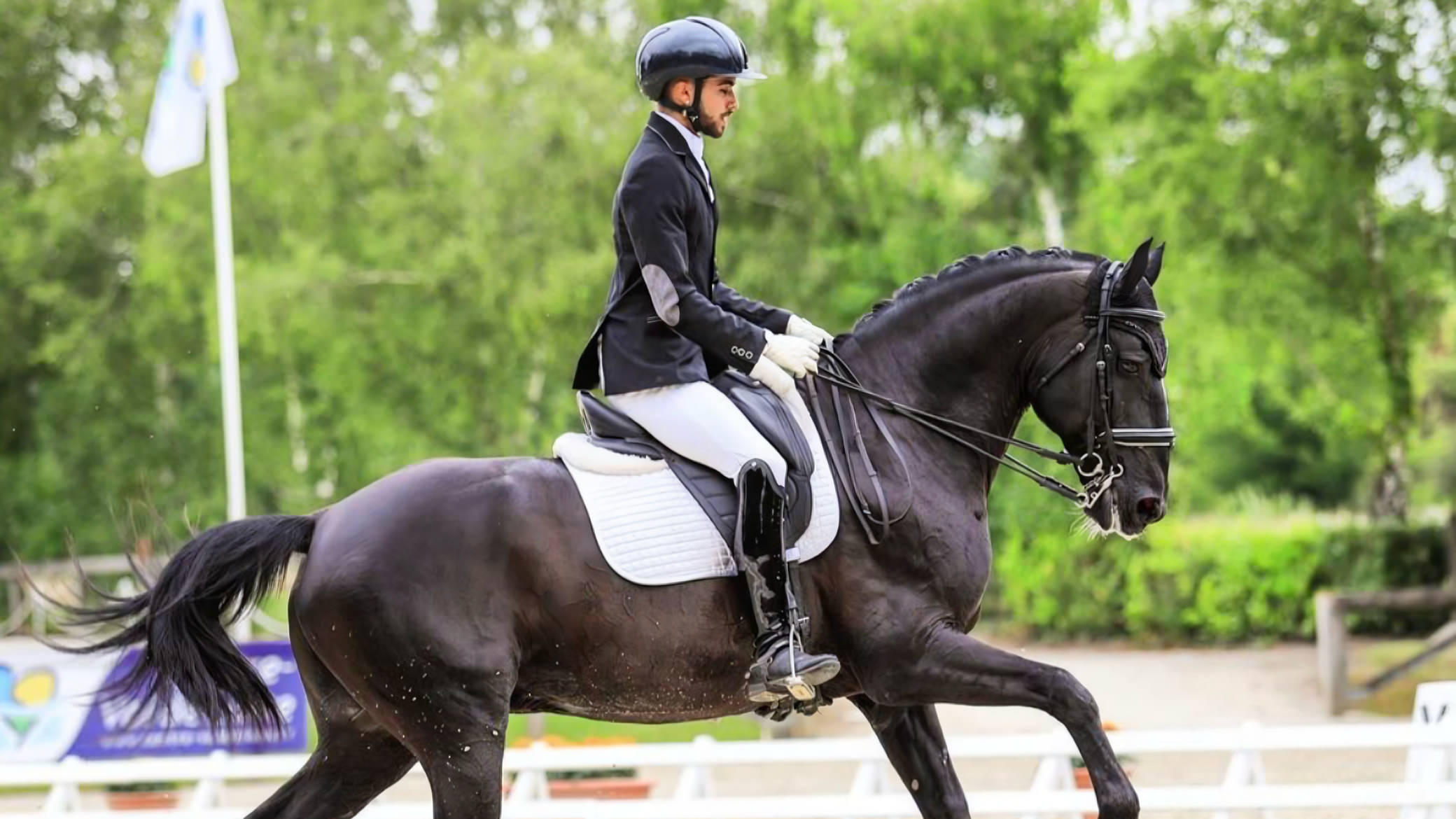 Tom et Brasil Champions d’Europe de dressage